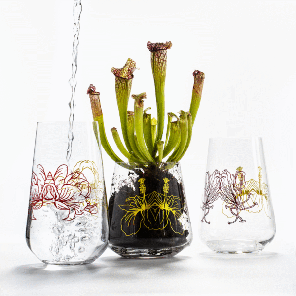 Set sklenic Adele 440 ml - Obrázek 2